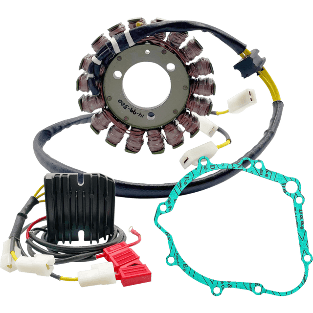 Rick's Motorsport Electric Chargin Kit Lith - DRIVEN Canada's Powersports 14-99-300
