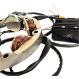 RICK'S MOTORSPORT ELECTRIC CHARGING KIT LITH - ION - Driven Powersports Inc.14 - 99 - 101