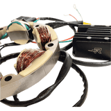 RICK'S MOTORSPORT ELECTRIC CHARGING KIT LITH - ION - Driven Powersports Inc.14 - 99 - 101