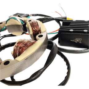 RICK'S MOTORSPORT ELECTRIC CHARGING KIT LITH - ION - Driven Powersports Inc.14 - 99 - 101