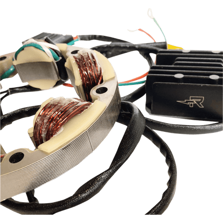 RICK'S MOTORSPORT ELECTRIC CHARGING KIT LITH - ION - Driven Powersports Inc.14 - 99 - 101