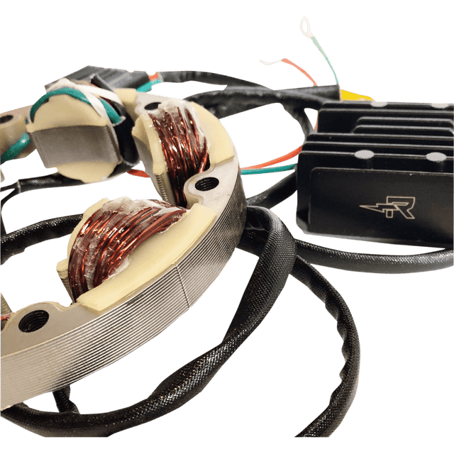 RICK'S MOTORSPORT ELECTRIC CHARGING KIT LITH - ION - Driven Powersports Inc.14 - 99 - 101