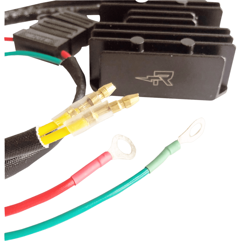 RICK'S MOTORSPORT ELECTRIC CHARGING KIT LITH - ION - Driven Powersports Inc.14 - 99 - 101