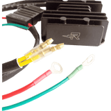 RICK'S MOTORSPORT ELECTRIC CHARGING KIT LITH - ION - Driven Powersports Inc.14 - 99 - 101