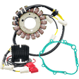 Rick's Motorsport Electric Charging Kit - DRIVEN Canada's Powersports 99-300