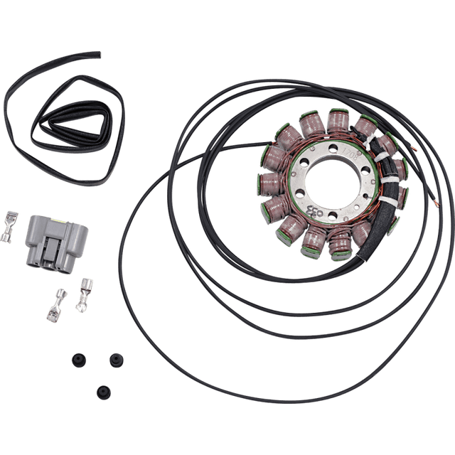 RICK'S MOTORSPORT ELECTRIC OE STYLE STATOR BMW - Driven Powersports Inc.21 - 033