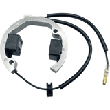 RICK'S MOTORSPORT ELECTRIC STATOR (21 - 0093) - DRIVEN Canada's Powersports 21 - 0093