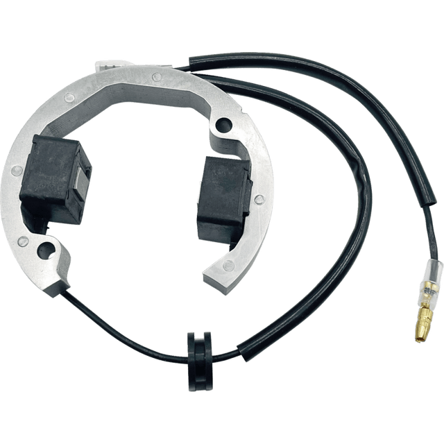 RICK'S MOTORSPORT ELECTRIC STATOR (21 - 0093) - DRIVEN Canada's Powersports 21 - 0093