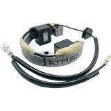 RICK'S MOTORSPORT ELECTRIC STATOR (21 - 0093) - DRIVEN Canada's Powersports 21 - 0093