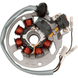 RICK'S MOTORSPORT ELECTRIC STATOR (21 - 550) - DRIVEN Canada's Powersports 21 - 55021 - 550