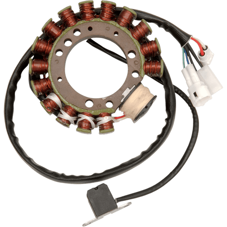 RICK'S MOTORSPORT ELECTRIC STATOR (21 - 911) - DRIVEN Canada's Powersports 21 - 91121 - 911