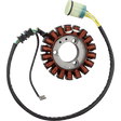 RICK'S MOTORSPORT ELECTRIC - 21 - 650 - STATOR HONDA - Driven Powersports Inc.21 - 650