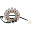 RICK'S MOTORSPORT ELECTRIC STATOR - Driven Powersports Inc.21 - 232
