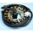 RICK'S MOTORSPORT ELECTRIC STATOR (21 - 805) - Driven Powersports Inc.21 - 80521 - 805