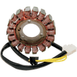 RICK'S MOTORSPORT ELECTRIC STATOR - Driven Powersports Inc.21 - 328