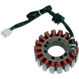 RICK'S MOTORSPORT ELECTRIC STATOR - Driven Powersports Inc.21 - 407