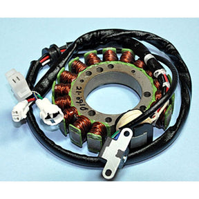RICK'S MOTORSPORT ELECTRIC STATOR (21 - 910) - Driven Powersports Inc.21 - 91021 - 910