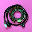 RICK'S MOTORSPORT ELECTRIC STATOR (21 - 919) - Driven Powersports Inc.21 - 91921 - 919