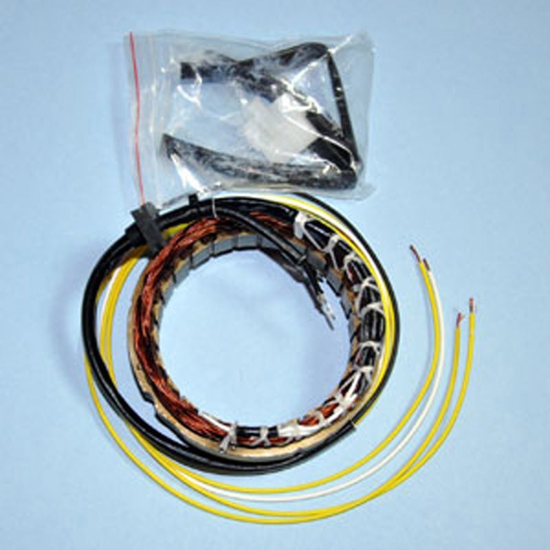 Rick's Motorsport Electric Stator - DRIVEN Canada's Powersports 21-10021-100