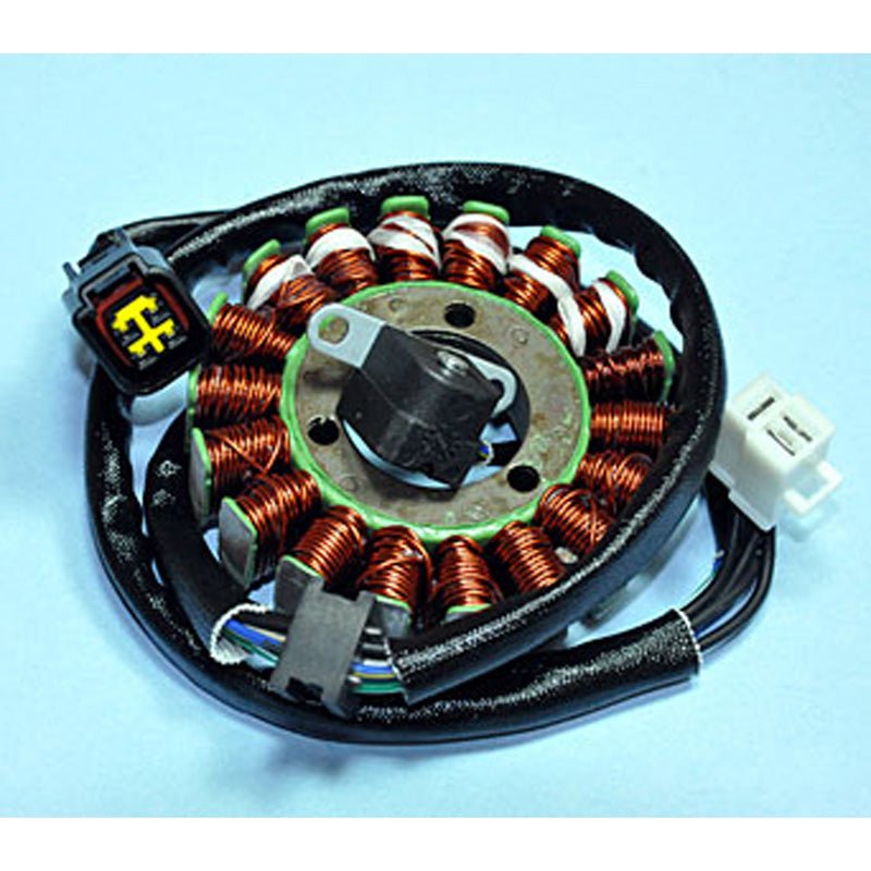 Rick's Motorsport Electric Stator - DRIVEN Canada's Powersports 21-808H21-808H