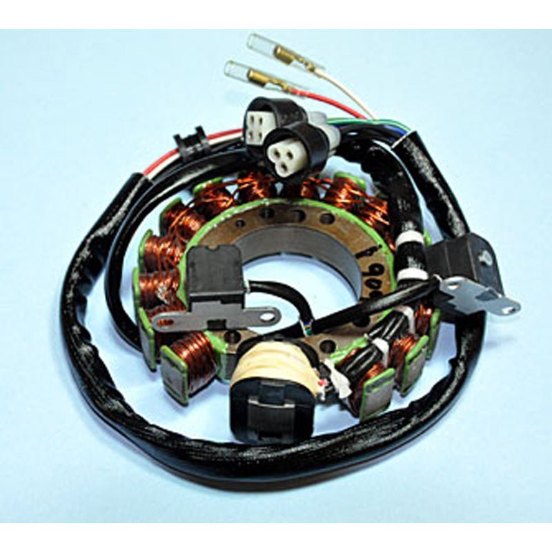 Rick's Motorsport Electric Stator - DRIVEN Canada's Powersports 21-90921-909