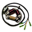 RICK'S MOTORSPORT ELECTRIC STATOR (21 - 802H) - Driven Powersports Inc.21 - 802H21 - 802H