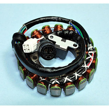 RICK'S MOTORSPORT ELECTRIC STATOR (21 - 901) - Driven Powersports Inc.21 - 90121 - 901