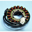 RICK'S MOTORSPORT ELECTRIC STATOR (21 - 236) - Driven Powersports Inc.21 - 23621 - 236