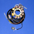 RICK'S MOTORSPORT ELECTRIC STATOR (21 - 555) - Driven Powersports Inc.21 - 55521 - 555