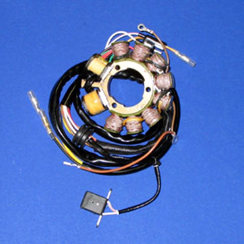 RICK'S MOTORSPORT ELECTRIC STATOR (21 - 555) - Driven Powersports Inc.21 - 55521 - 555