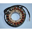 RICK'S MOTORSPORT ELECTRIC STATOR (21 - 108) - Driven Powersports Inc.21 - 10821 - 108