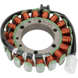RICK'S MOTORSPORT ELECTRIC STATOR - Driven Powersports Inc.21 - 217