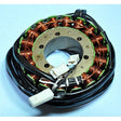 RICK'S MOTORSPORT ELECTRIC STATOR (21 - 307) - Driven Powersports Inc.21 - 30721 - 307