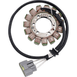 RICK'S MOTORSPORT ELECTRIC STATOR - Driven Powersports Inc.21 - 243