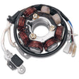 RICK'S MOTORSPORT ELECTRIC STATOR (21 - 602H) - Driven Powersports Inc.21 - 602H21 - 602H