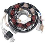 RICK'S MOTORSPORT ELECTRIC STATOR - Driven Powersports