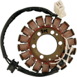 RICK'S MOTORSPORT ELECTRIC STATOR - Driven Powersports Inc.21 - 314