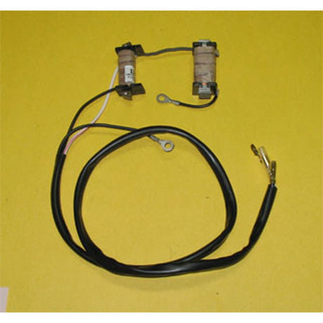 RICK'S MOTORSPORT ELECTRIC STATOR (22 - 780) - Driven Powersports Inc.22 - 78022 - 780