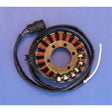 RICK'S MOTORSPORT ELECTRIC STATOR (21 - 216) - Driven Powersports Inc.21 - 21621 - 216