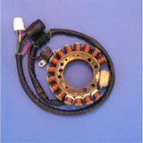 RICK'S MOTORSPORT ELECTRIC STATOR - Driven Powersports