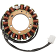 RICK'S MOTORSPORT ELECTRIC STATOR - Driven Powersports Inc.21 - 413