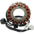 RICK'S MOTORSPORT ELECTRIC STATOR - Driven Powersports Inc.21 - 311H