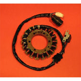 RICK'S MOTORSPORT ELECTRIC STATOR (21 - 918) - Driven Powersports Inc.21 - 91821 - 918
