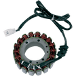 RICK'S MOTORSPORT ELECTRIC STATOR - Driven Powersports Inc.21 - 107