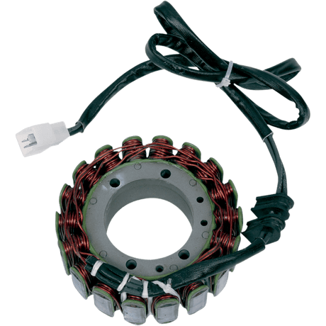 RICK'S MOTORSPORT ELECTRIC STATOR - Driven Powersports Inc.21 - 107
