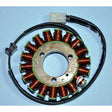 RICK'S MOTORSPORT ELECTRIC STATOR (21 - 206) - Driven Powersports Inc.21 - 20621 - 206