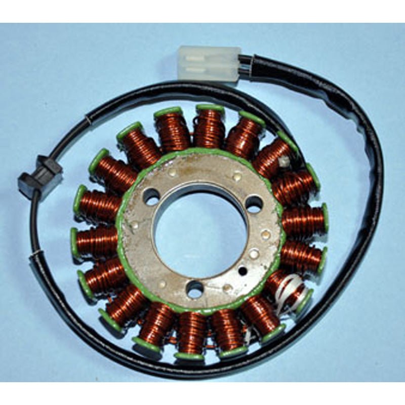RICK'S MOTORSPORT ELECTRIC STATOR (21 - 206) - Driven Powersports Inc.21 - 20621 - 206