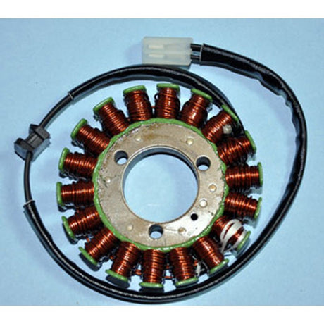 RICK'S MOTORSPORT ELECTRIC STATOR (21 - 206) - Driven Powersports Inc.21 - 20621 - 206