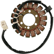 RICK'S MOTORSPORT ELECTRIC STATOR - Driven Powersports Inc.21 - 315