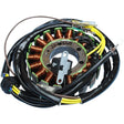 RICK'S MOTORSPORT ELECTRIC STATOR (21 - 560) - Driven Powersports Inc.21 - 56021 - 560